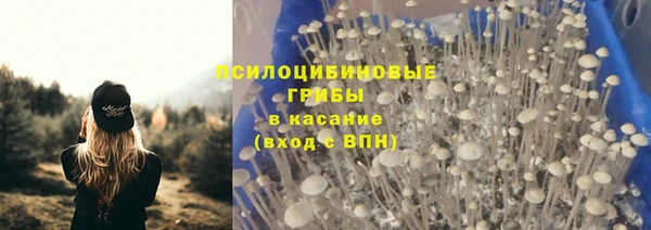 СК Абдулино