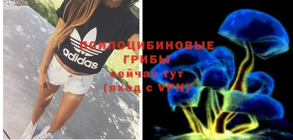 тгк Абинск