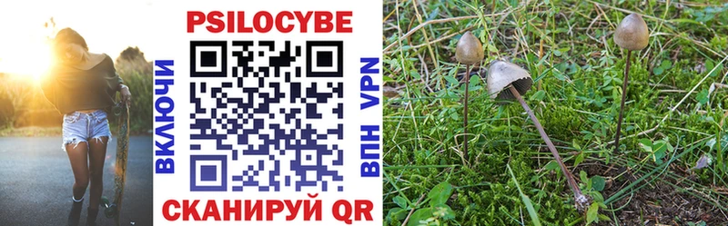 Галлюциногенные грибы GOLDEN TEACHER hydra зеркало Костерёво